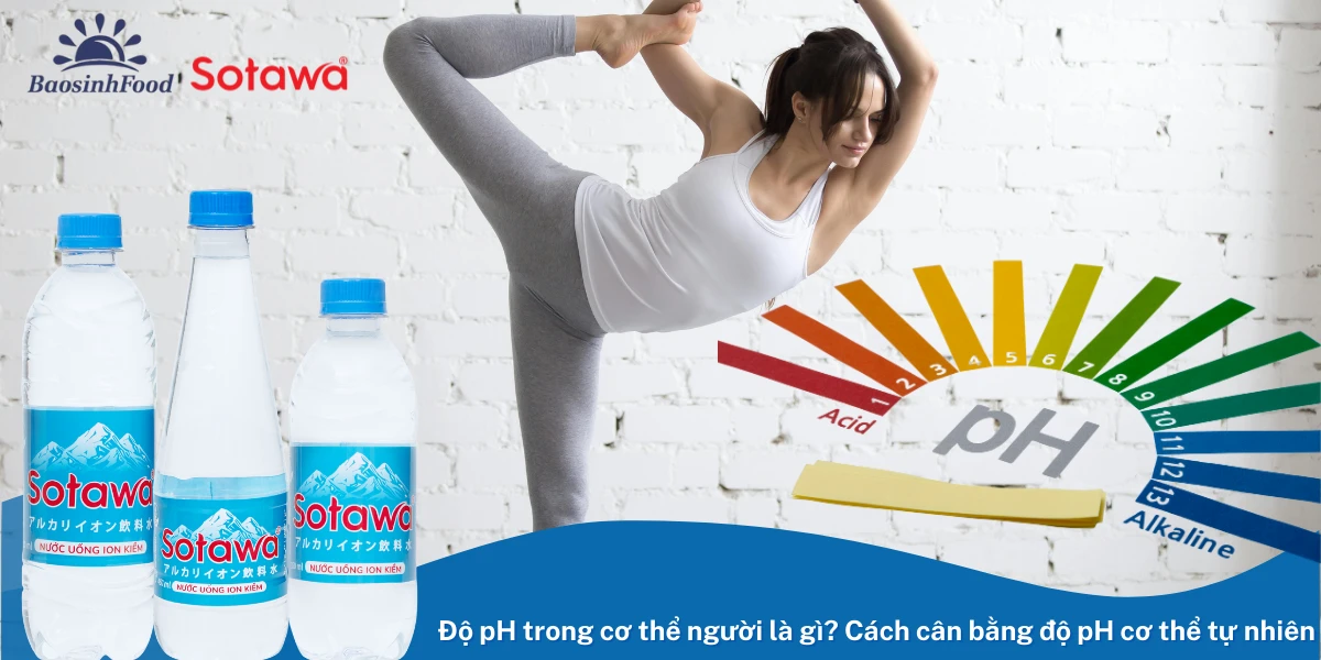 Độ pH trong cơ thể người là gì? Cách cân bằng độ pH cơ thể tự nhiên